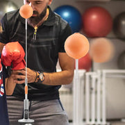 Boxing Bag with Stand