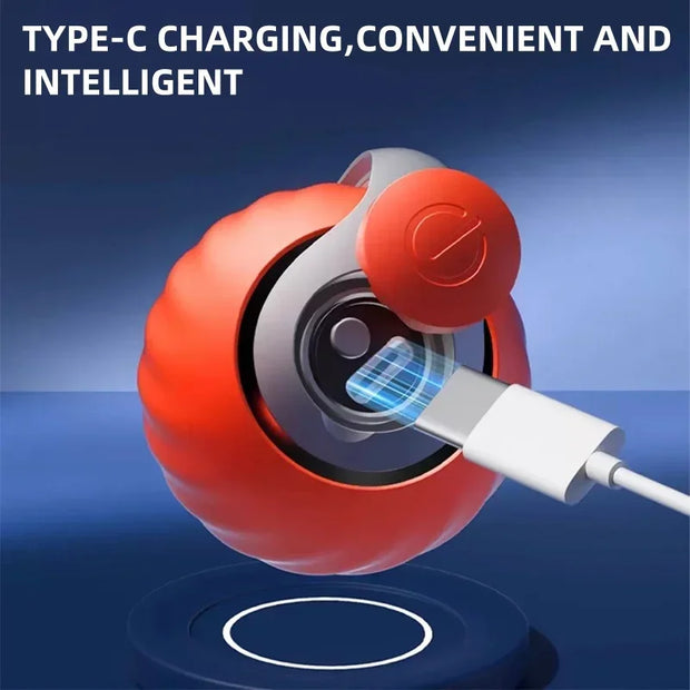Smart Cat Ball Toy
