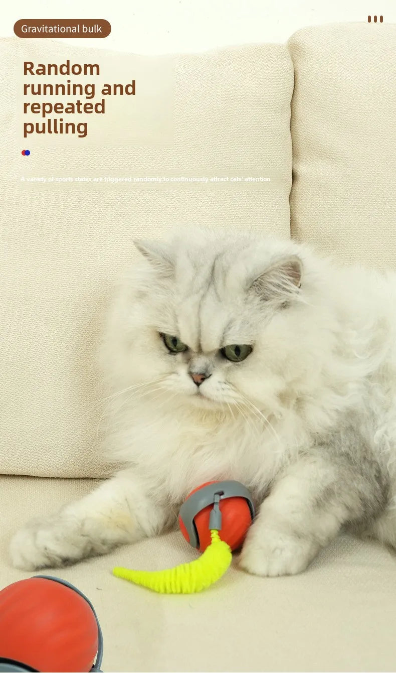 Smart Cat Ball Toy