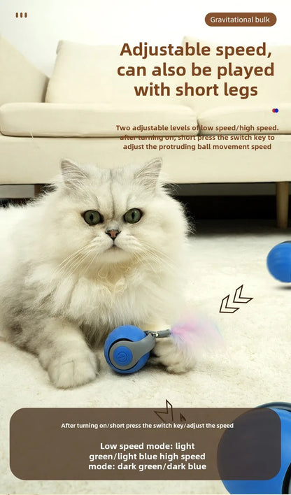 Smart Cat Ball Toy